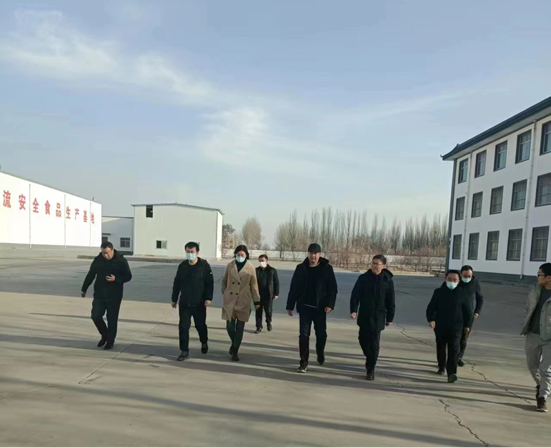 石嘴山市副市長(zhǎng)、惠農(nóng)區(qū)委書(shū)記王宇翔蒞臨寧夏興康恒潤(rùn)農(nóng)業(yè)科技發(fā)展有限公司調(diào)研